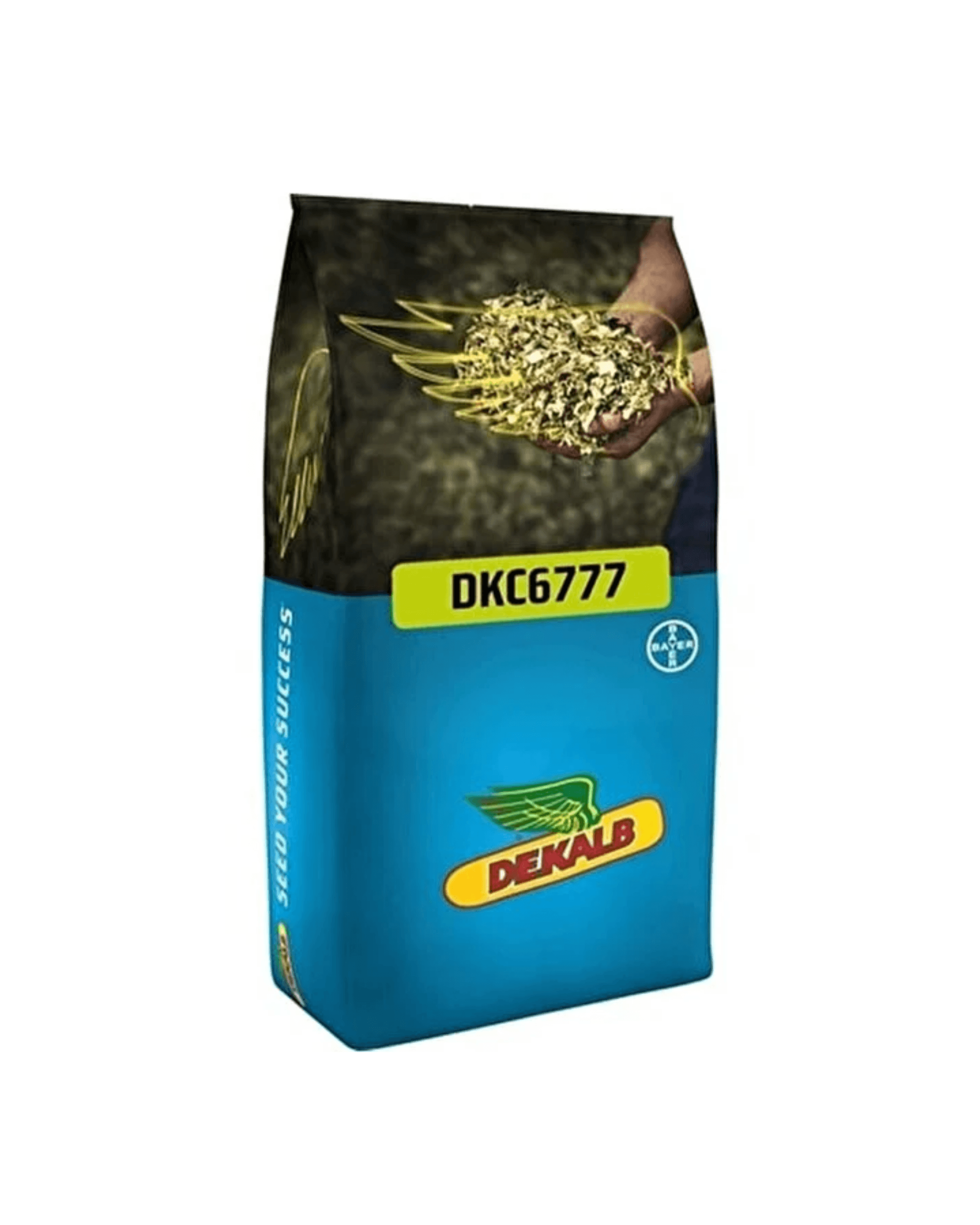 DKC6777 Mısır Tohumu