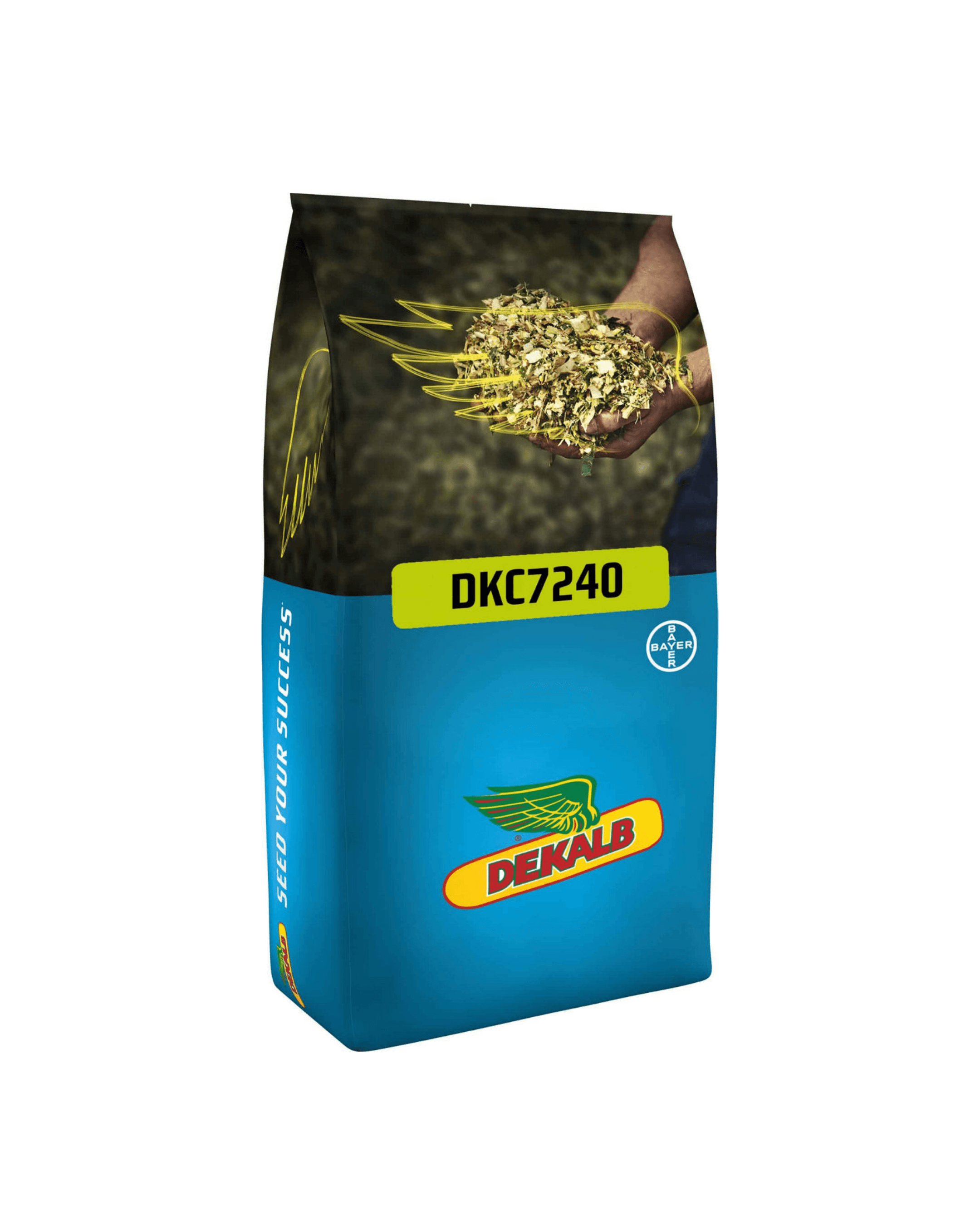 DKC7240 Mısır Tohumu